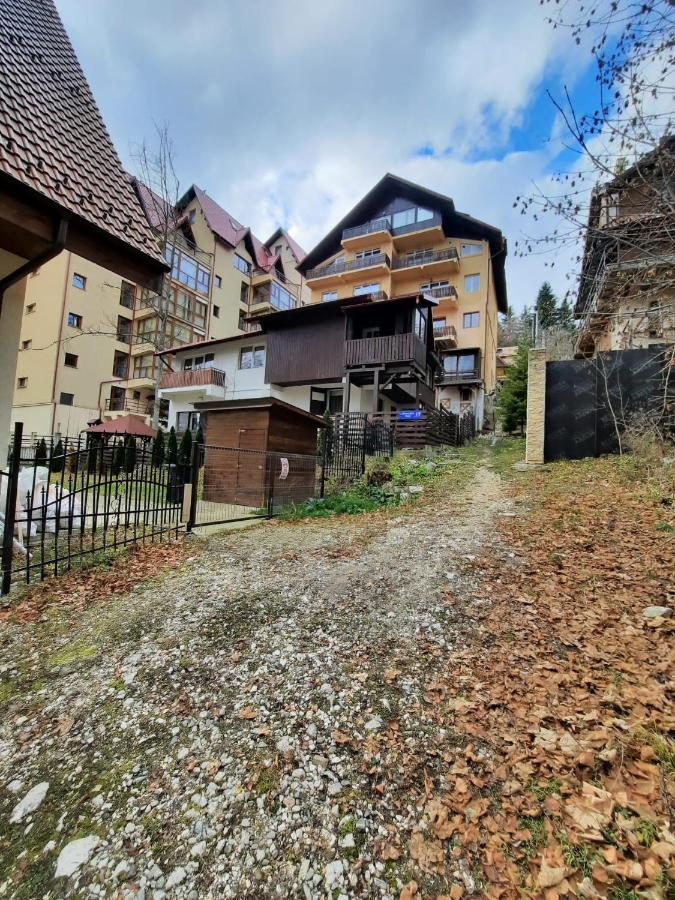Studio Furnica Sinaia Exterior photo